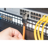 Digitus DN-93636, Enchufe plateado