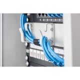 Digitus Panel de conexión modular, 8 puertos, Patch Panel negro, 8 puertos, Negro, Montaje en bastidor, 1U, 270 mm, 120 mm, 171,212 g