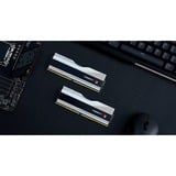 G.Skill Trident Z RGB F5-6600J3440G16GX2-TZ5RS módulo de memoria 32 GB 2 x 16 GB DDR5 6600 MHz, Memoria RAM plateado, 32 GB, 2 x 16 GB, DDR5, 6600 MHz