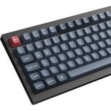 Keychron V1M-D1-ES, Teclado para gaming negro/Azul-gris