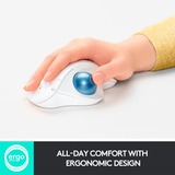 Logitech 910-006438 ratón Oficina mano derecha RF Wireless + Bluetooth Trackball 2000 DPI gris claro/Azul, mano derecha, Trackball, RF Wireless + Bluetooth, 2000 DPI, Blanco