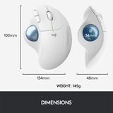 Logitech 910-006438 ratón Oficina mano derecha RF Wireless + Bluetooth Trackball 2000 DPI gris claro/Azul, mano derecha, Trackball, RF Wireless + Bluetooth, 2000 DPI, Blanco