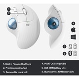 Logitech ERGO M575 for Business ratón mano derecha RF Wireless + Bluetooth Trackball 2000 DPI gris claro/Azul, mano derecha, Trackball, RF Wireless + Bluetooth, 2000 DPI, Blanco