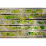 Ryobi Limpiador de superficies a batería 18Volt, Detergentes para suelos duros verde/Negro