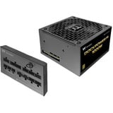 Thermaltake Dockpower FI 1000W, Fuente de alimentación de PC negro