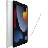 Apple iPad, Tablet PC plateado