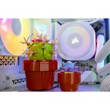 ALTERNATE ALT-ICUECS-INT-002, Gaming-PC blanco/Transparente