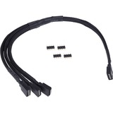 Alphacool 18538 accesorio o pieza de sistema de refrigeración para ordenador Cable divisor RGB, Cable Y negro, Cable divisor RGB, Negro, Hembra, Hembra