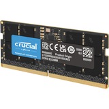 Crucial CT64G56C46U5, Memoria RAM 