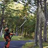 Makita Podadora telescópica inalámbrica UA004GZ XGT, 40 Voltios azul/Negro