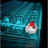 Sharkoon SGK50 S4 teclado USB QWERTY Español Negro, Teclado para gaming negro, 60%, USB, QWERTY, LED RGB, Negro