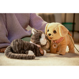 ZAPF Creation My Cat Cookie with Box, Accesorios para muñecas BABY born My Cat Cookie with Box, Mascota de muñeca, 3 año(s), Necesita pilas