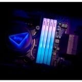 ADATA LANCER BLADE RGB módulo de memoria 16 GB 1 x 16 GB DDR5 6000 MT/s 288-pin DIMM, Memoria RAM negro, 16 GB, 1 x 16 GB, DDR5, 6000 MHz, 288-pin DIMM, Negro