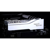G.Skill F5-6000J2636H16GX2-TR5NS, Memoria RAM plateado