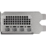 PNY NVIDIA RTX 2000 Ada Generation 16GB PB, Tarjeta gráfica 