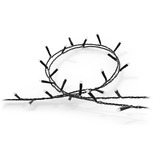 Philips Hue Hue White & Color Ambiance Festavia cadena de luces 40m, Lichterkette 