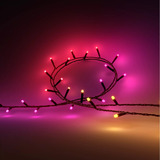 Philips Hue Hue White & Color Ambiance Festavia cadena de luces 40m, Luces de cuerda 