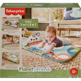 Fisher-Price HKD65, Colchoneta de juego 