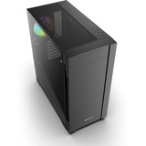 Sharkoon S25-W2 ARGB, Cajas de torre negro