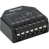 Shelly Persiana, Relé negro