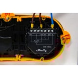 Shelly Persiana, Relé negro