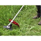 EINHELL GC-MM 52 I AS 1500 W Gasolina Negro, Gris, Rojo, Cortabordes rojo/Negro, Cortabordes, Empuñadura en U, 2,4 mm, 4 m, 9600 RPM, Negro, Gris, Rojo