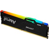 Kingston FURY FURY Beast 32 GB 5600 MT/s DDR5 CL40 DIMM RGB, Memoria RAM negro, 32 GB, 1 x 32 GB, DDR5, 288-pin DIMM