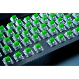 Razer Green Switch-Set, Interruptor de botón verde/Transparente