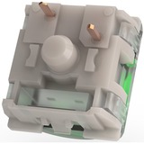 Razer Green Switch-Set, Interruptor de botón verde/Transparente