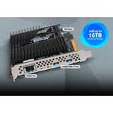 Sonnet McFiver 10GBASE-T, Tarjeta de interfaz 
