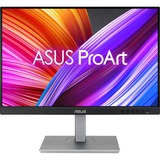 ASUS PA248CNV, Monitor LED negro/Plateado