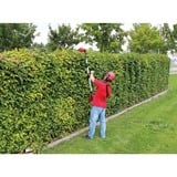 EINHELL 11017 corta-setos eléctrico 4,28 kg, Cortasetos rojo/Negro, Batería, 4,28 kg, 205 mm, 122 mm, 1215 mm, 5,44 kg