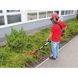 EINHELL 11017 corta-setos eléctrico 4,28 kg, Cortasetos rojo/Negro, Batería, 4,28 kg, 205 mm, 122 mm, 1215 mm, 5,44 kg