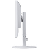 EIZO Flexscan EV2460-WT Reacondicionado, Monitor LED blanco