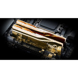 G.Skill F5-6000J2636H32GX2-TR5NG, Memoria RAM dorado