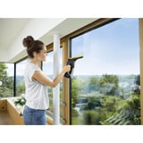 Kärcher WV 6 Plus Multi Edition, Aspiradora de ventanas negro/Gris