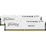 Kingston FURY FURY Beast 64GB 5600MT/s DDR5 CL36 DIMM (Kit de 2) White EXPO, Memoria RAM blanco, 64 GB, 2 x 32 GB, DDR5, 288-pin DIMM