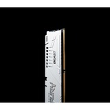 Kingston FURY FURY Beast 64GB 5600MT/s DDR5 CL36 DIMM (Kit de 2) White EXPO, Memoria RAM blanco, 64 GB, 2 x 32 GB, DDR5, 288-pin DIMM