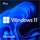 Microsoft Windows 11 Pro 1 licencia(s), Software Fabricante de equipos originales (OEM), 1 licencia(s), 64 GB, 4096 GB, 1000 GHz, Francés
