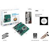 ASUS PRO H610T-CSM Intel H610 LGA 1700 mini ITX, Placa base AMD, LGA 1700, Intel® Celeron®, Intel® Core™ i3, Intel® Core™ i5, Intel® Core™ i7, Intel® Core™ i9,..., DDR5-SDRAM, 64 GB, SO-DIMM