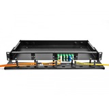 DeLOCK Panel de parcheo LWL HD (Alta Densidad) de 19" 1U, Patch Panel negro