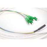 Digitus DK-3904LCA-30, Cable blanco