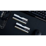 G.Skill Trident Z RGB F5-5600J2834F32GX2-TZ5RS módulo de memoria 64 GB 2 x 32 GB DDR5, Memoria RAM plateado, 64 GB, 2 x 32 GB, DDR5, 288-pin DIMM