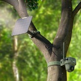 Reolink Go Series G450 + Solar Panel 2 Almohadilla Cámara de seguridad IP Exterior 3840 x 2160 Pixeles Techo/pared, Cámara de vigilancia camuflaje, Cámara de seguridad IP, Exterior, Inalámbrico y alámbrico, Google Assistant, Externo, Techo/pared