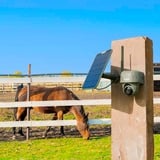 Reolink Go Series G450 + Solar Panel 2 Almohadilla Cámara de seguridad IP Exterior 3840 x 2160 Pixeles Techo/pared, Cámara de vigilancia camuflaje, Cámara de seguridad IP, Exterior, Inalámbrico y alámbrico, Google Assistant, Externo, Techo/pared