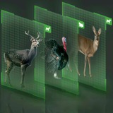 Reolink Go Series G450 + Solar Panel 2 Almohadilla Cámara de seguridad IP Exterior 3840 x 2160 Pixeles Techo/pared, Cámara de vigilancia camuflaje, Cámara de seguridad IP, Exterior, Inalámbrico y alámbrico, Google Assistant, Externo, Techo/pared