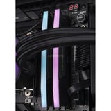 ALTERNATE ALT-SHLO-AMD-002, Gaming-PC negro/Transparente