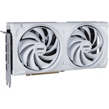 MSI V532-004R, Tarjeta gráfica 