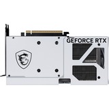 MSI V532-004R, Tarjeta gráfica 