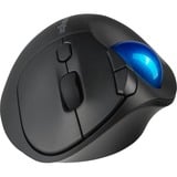 Kensington Trackball Pro Fit Ergo TB450 negro/Azul, mano derecha, Trackball, RF Wireless + Bluetooth, 1600 DPI, Negro, Azul